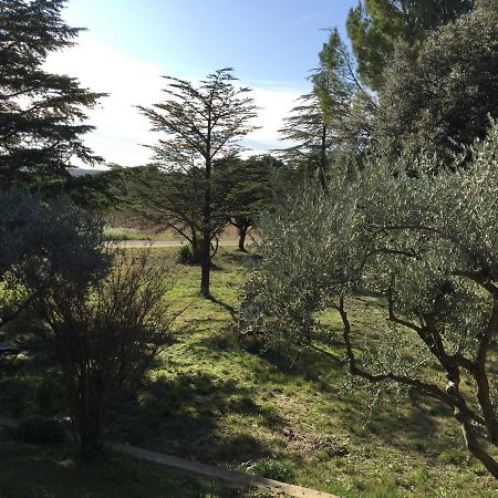 Maison Calme Beaumes-de-Venise Dış mekan fotoğraf