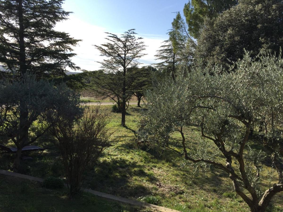 Maison Calme Beaumes-de-Venise Dış mekan fotoğraf